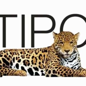 Logo Multipolar Technology - Lowongan Kerja Accounts Manager Logo Perusahaan Multipolar Technology - Lowongan Kerja Accounts Manager