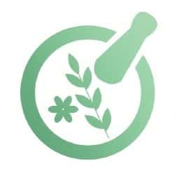 Logo Perusahaan Cipta Sehat Anugrah Indonesia - Lowongan Kerja CREATIVE DESIGNER AND EDITOR