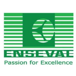 Logo Perusahaan Enseval Putera Megatrading Tbk - Lowongan Kerja IT Support