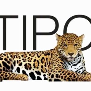 Logo Perusahaan Multipolar Technology - Lowongan Kerja Technical Support Engineer